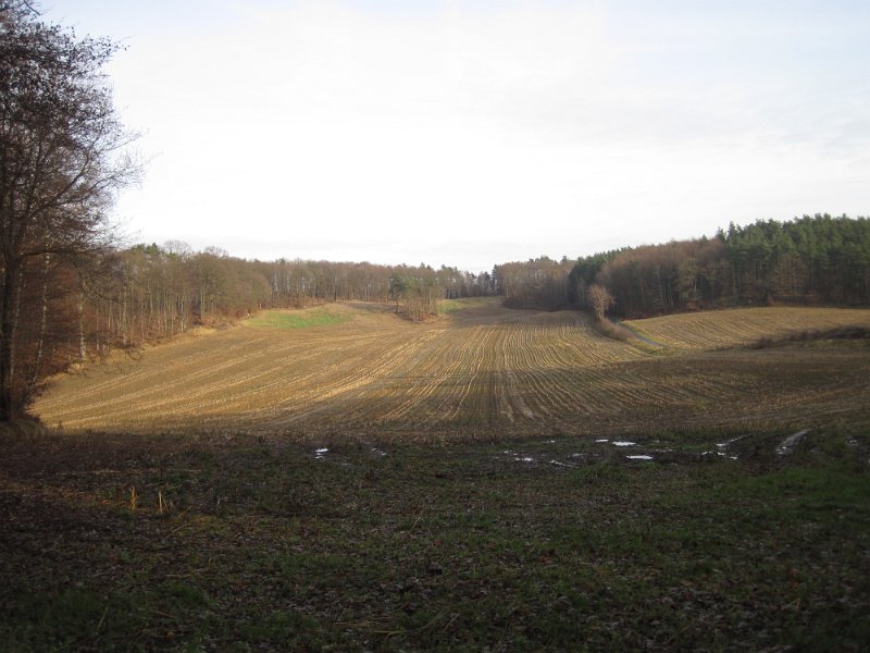 CTF-P Hitzacker 065